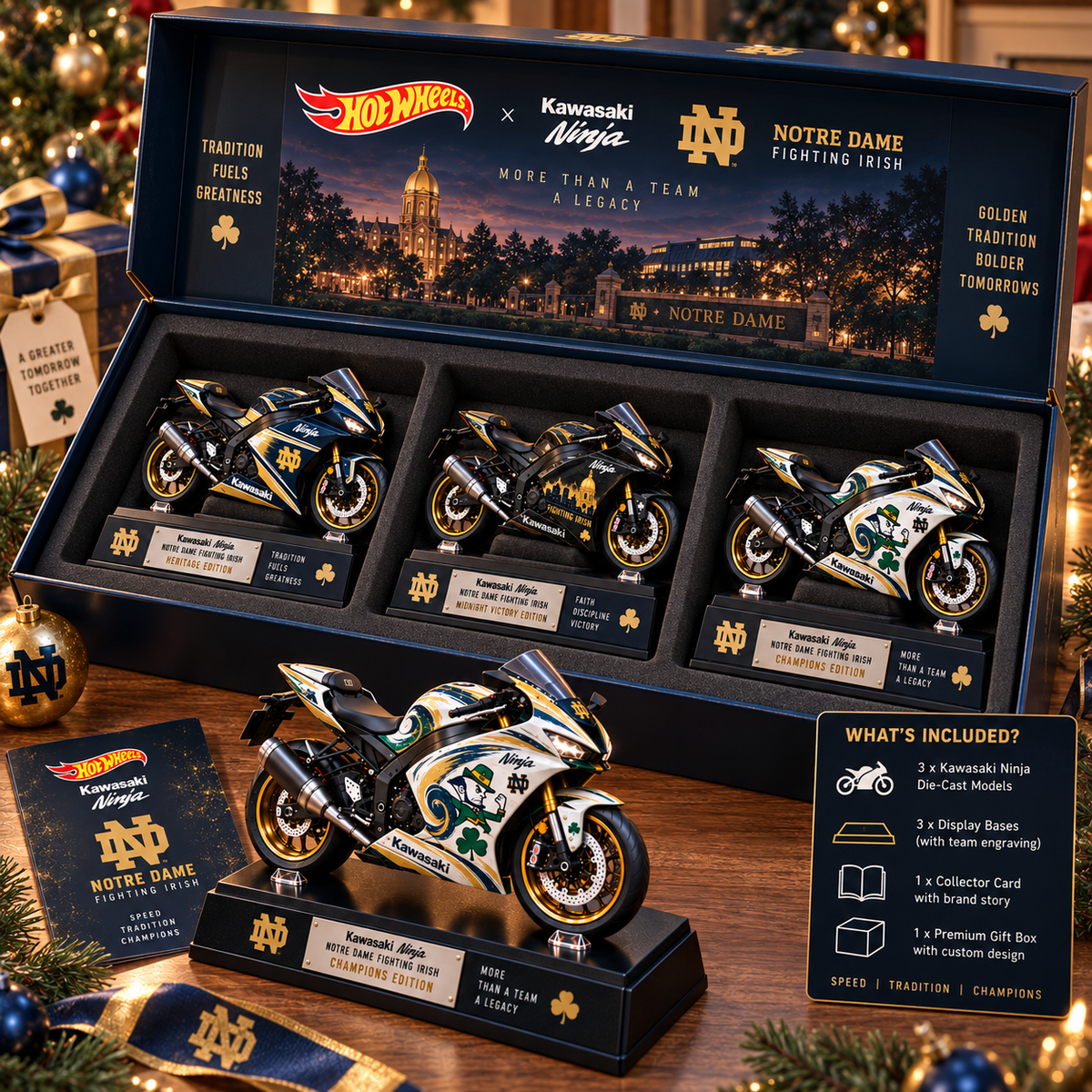 NDFI Premium-Grade Motorcycle Model Kit BMD